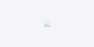 Scannable layout with whitespace eases access to information.